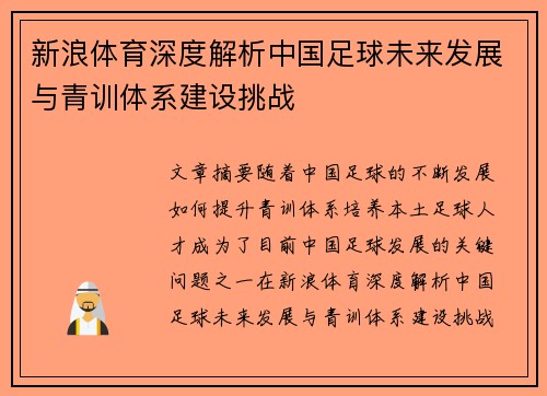 新浪体育深度解析中国足球未来发展与青训体系建设挑战